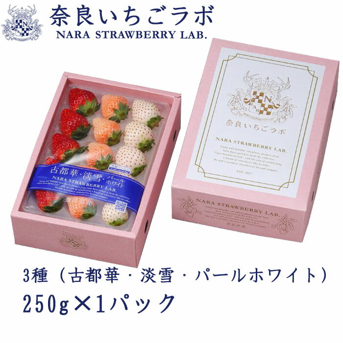 【ふるさと納税】【先行予約】福岡県産 あまおう 1120g(280g×4パック) 2025年2月より順次発送