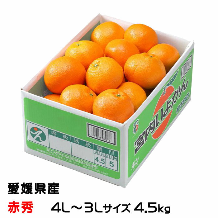 みかん 宮内伊予柑 赤秀 4L〜3Lサイズ 4.5kg JAえひめ中央 愛媛県産 中島産 ミカン 蜜柑 いよかん