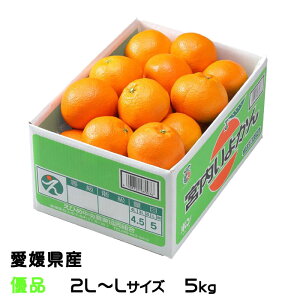 みかん 宮内伊予柑 優品 2L〜Lサイズ 5kg JAえひめ中央 愛媛県産 中島産 ミカン 蜜柑 いよかん