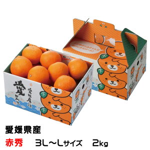 みかん 宮内伊予柑 赤秀 3L〜Lサイズ 2kg みきゃん箱入り JAえひめ中央 愛媛県産 中島産 ミカン 蜜柑 いよかん