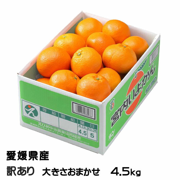 みかん 宮内伊予柑 風のいたずら 訳あり 大きさおまかせ 4.5kg JAえひめ中央 愛媛県産 中島産 ミカン 蜜柑 いよかん