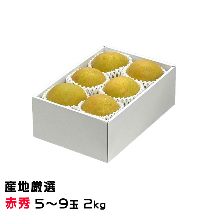     ϸ ֽ 5̡9 2kg ʥ ʤ