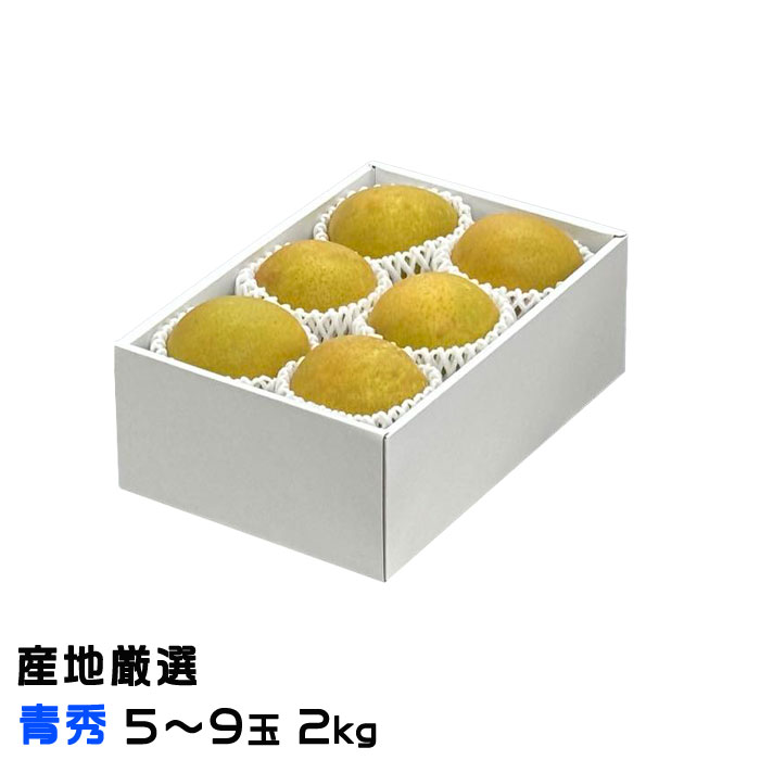 お歳暮 梨 甘太 かんた 産地厳選 青秀 5玉〜9玉 2kg ナシ なし