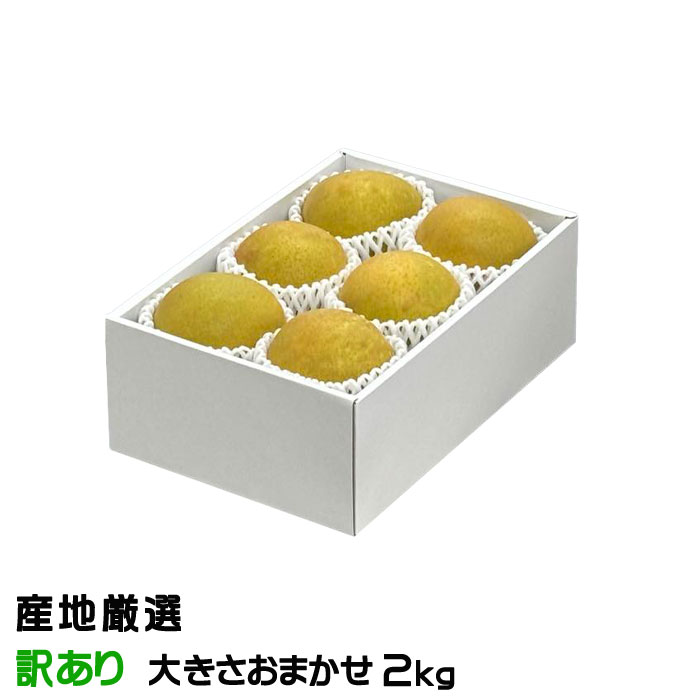     ϸ ä 礭ޤ 2kg ʥ ʤ