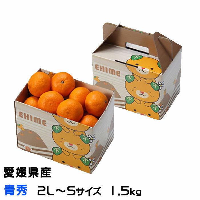 みかん みかん 完熟春みかん カラマンダリン 青秀 2L～S 1.5kg みきゃん箱入り 愛媛県産 JAえひめ中央 中島選果場 ミカン 蜜柑 ギフト 母の日