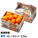 みかん 完熟春みかん カラマンダリン 青秀 2L〜S 2.5kg みきゃん箱入り 愛媛県産 JAえひめ中央 中島選果場 ミカン 蜜柑 ギフト 母の日