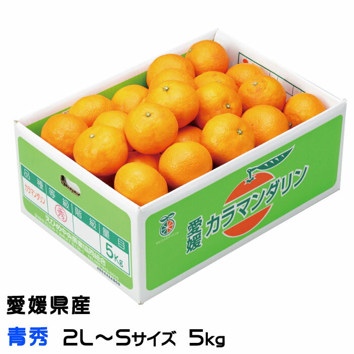 みかん みかん 完熟春みかん カラマンダリン 青秀 2L～S 5kg 愛媛県産 JAえひめ中央 中島選果場 ミカン 蜜柑 ギフト お取り寄せグルメ 父の日