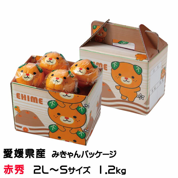 みかん みかん 完熟春みかん カラマンダリン みきゃんパッケージ 赤秀 2L～S 1.2kg 8～15玉入り 愛媛県産 JAえひめ中央 中島選果場 ミカン 蜜柑 母の日