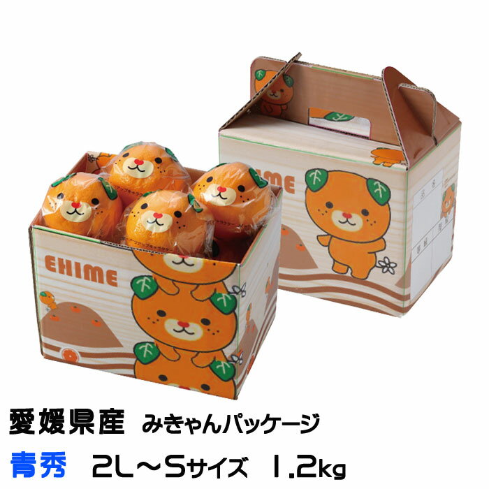 みかん みかん 完熟春みかん カラマンダリン みきゃんパッケージ 青秀 2L～S 1.2kg 8～15玉入り 愛媛県産 JAえひめ中央 中島選果場 ミカン 蜜柑 父の日