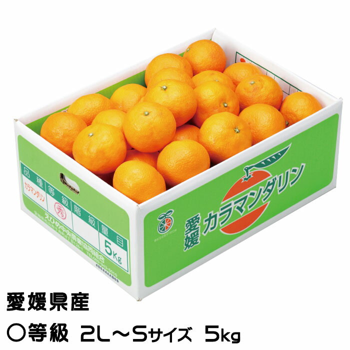 みかん みかん 完熟春みかん カラマンダリン 〇等級 2L～S 5kg 愛媛県産 JAえひめ中央 中島選果場 ミカン 蜜柑 ギフト お取り寄せグルメ 父の日