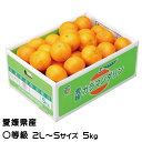 みかん 完熟春みかん カラマンダリン 〇等級 2L～S 5kg 愛媛県産 JAえひめ中央 中島選果場 ミカン 蜜柑 ギフト お取り寄せグルメ 母の日