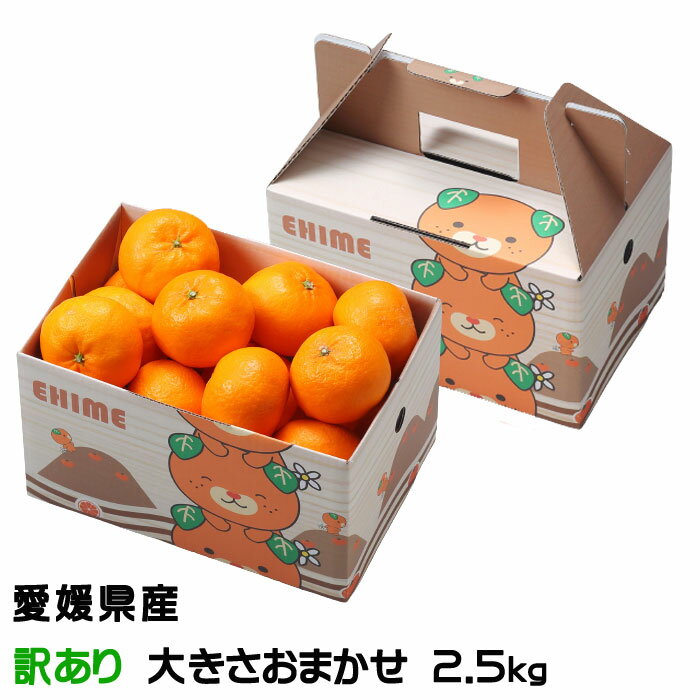 ߤ Ͻդߤ ޥ Τ  礭ޤ 2.5kg ɲ 绺 ߥ ̪ ե 󤻥...