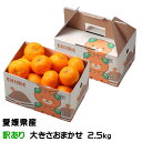 みかん 完熟春みかん カラマンダリン 風のいたずら 訳あり 大きさおまかせ 2.5kg 愛媛県 中島産 ミカン 蜜柑 ギフト お取り寄せグルメ 父の日