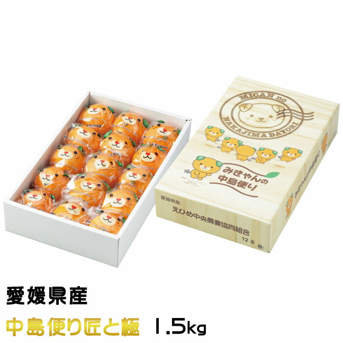 みかん みかん カラマンダリン みきゃんの中島だより 匠と極 12玉～15玉 1.5kg 愛媛県産 JAえひめ中央 ミカン 蜜柑 ギフト お取り寄せグルメ 父の日