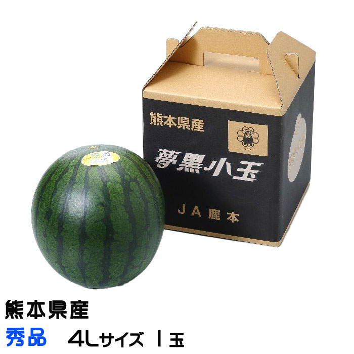 すいか 夢黒小玉すいか 秀品 4Lサイズ 1玉入り 3.0kg 熊本県産 JA鹿本 スイカ 西瓜