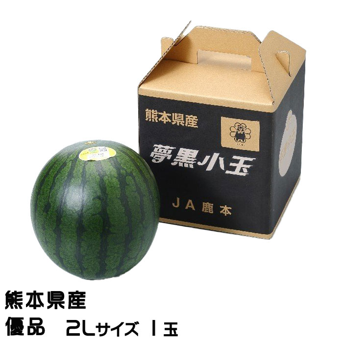 すいか 夢黒小玉すいか 優品 2Lサイズ 1玉 1.8kg 熊本県産 JA鹿本 スイカ 西瓜