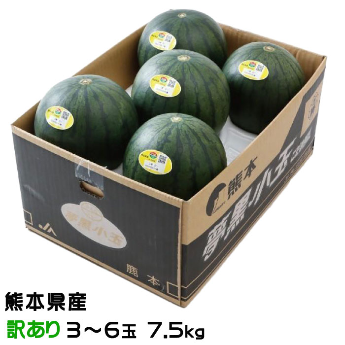 すいか 夢黒小玉すいか 風のいたずら ちょっと訳あり 3～6玉 7.5kg 熊本県産 JA鹿本 スイカ 西瓜