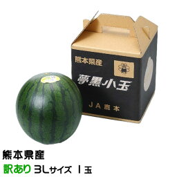 すいか 夢黒小玉すいか 風のいたずら ちょっと訳あり 3Lサイズ 1玉入り 2.5kg 熊本県産 JA鹿本 スイカ 西瓜