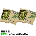 梅 小梅 光陽 風のいたずら 訳あり ★2kg×2箱 大きさおまかせ JA福岡八女 福岡県産 梅干し用 生梅 うめ ウメ