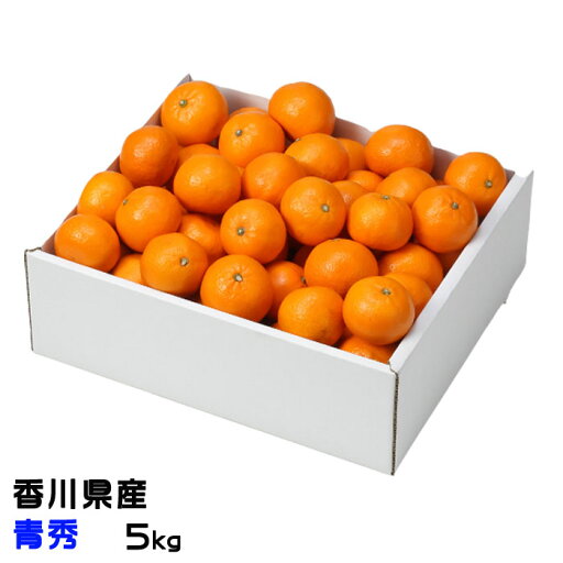 みかん かんきつ中間母本農6号 青秀 5kg JA香川県 ミカン ギフト お取り寄せグルメ みかん かんきつ中間母本農6号 青秀 5kg JA香川県 ミカン ギフト お取り寄せグルメ