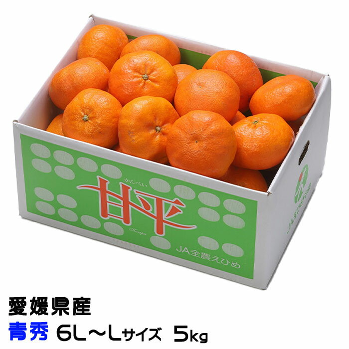 みかん 甘平 かんぺい 青秀 6L〜Lサイズ 5kg 愛媛県産 JAえひめ中央 中島選果場 蜜柑 ミカン ギフト お取り寄せのサムネイル