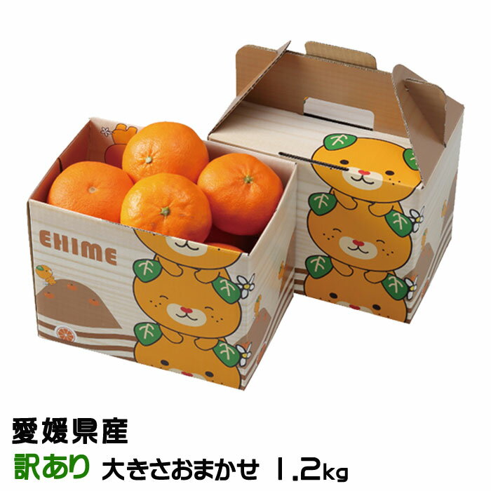 みかん 甘平 かんぺい 風のいたずら 訳あり 大きさおまかせ 1.2kg みきゃん箱入り 愛媛県産場 蜜柑 ミカン ギフト お取り寄せのサムネイル