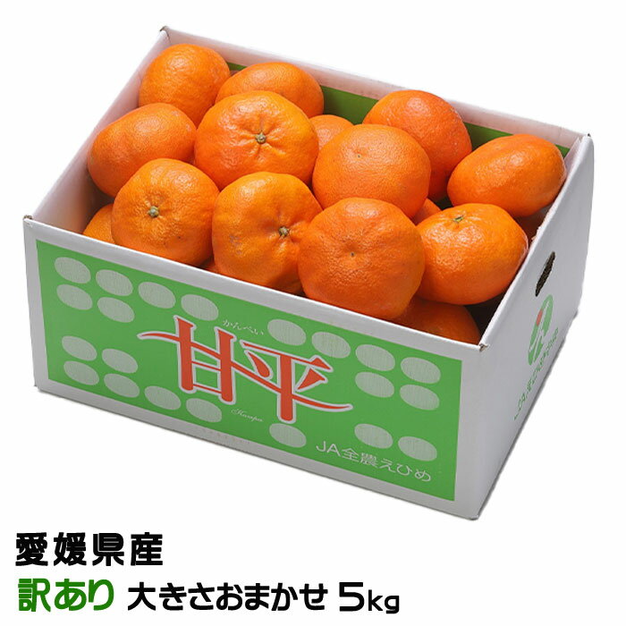 みかん 甘平 かんぺい 風のいたずら 訳あり 大きさおまかせ 5kg 愛媛県産 蜜柑 ミカン ギフト お取り寄せのサムネイル