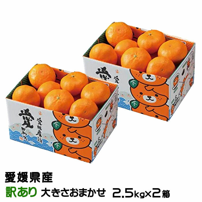 みかん だらけ 媛小春 ひめこはる 秀品 大きさおまかせ 2.5kg みかん だらけ 媛小春 ひめこはる 秀品 大きさおまかせ 2.5kg
