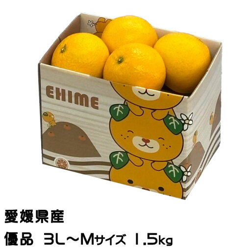 みかん サマー清見 優品 3L〜Mサイズ 1.5kg 希少な黄色い清見オレンジ 愛媛県 中島産 JAえひめ中央 みかん サマー清見 優品 3L〜Mサイズ 1.5kg 希少な黄色い清見オレンジ 愛媛県 中島産 JAえひめ中央