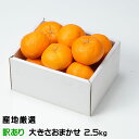 みかん 清見オレンジ 風のいたずら ちょっと訳あり 大きさおまかせ 2.5kg 産地厳選