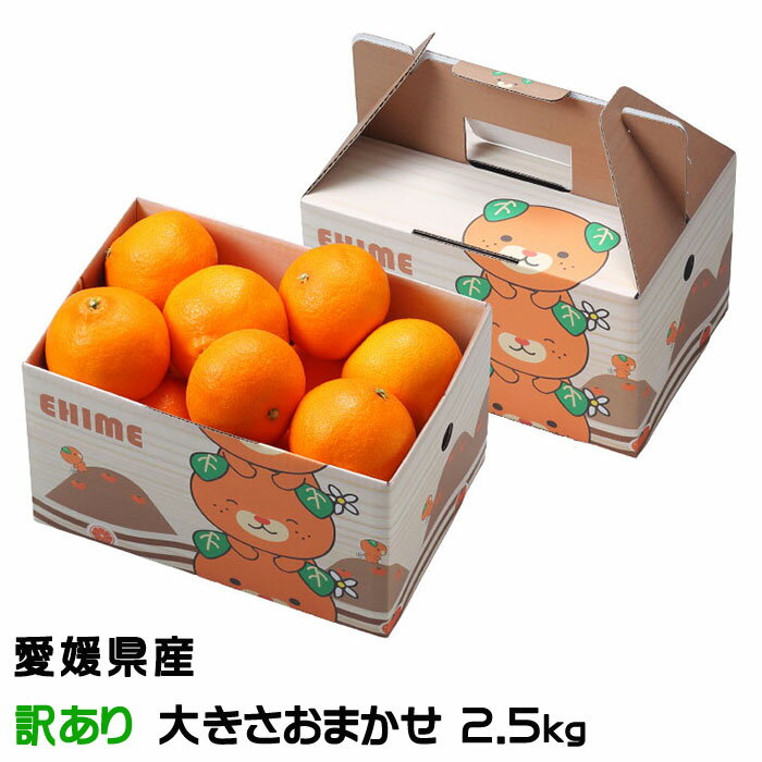 みかん 清見オレンジ 風のいたずら ちょっと訳あり 大きさおまかせ 2.5kg 愛媛県産