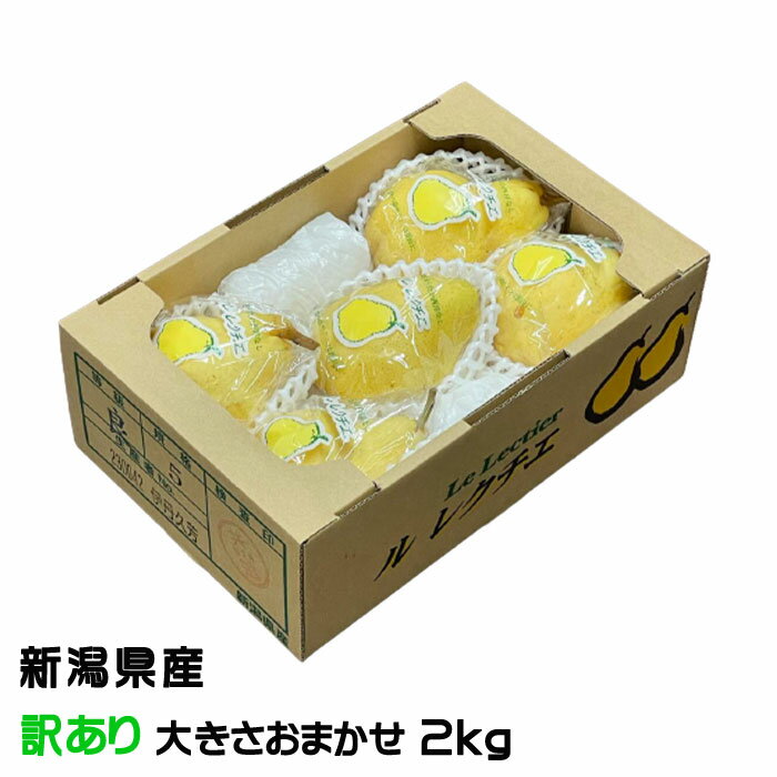 お歳暮 洋梨 ルレクチェ 風のいたずら 訳あり 大きさおまかせ 2kg 新潟県産 JA新潟 梨 ナシ なし ギフト
