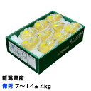 洋梨 ルレクチェ 青秀 7玉〜14玉 4kg 新潟県産 JA新潟 梨 ナシ なし ギフト