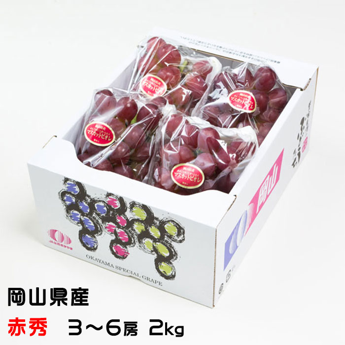 お歳暮 ぶどう マスカットビオレ 赤秀 3～6房 2kg 岡山県産 葡萄 ぶどう ギフト お取り寄せ