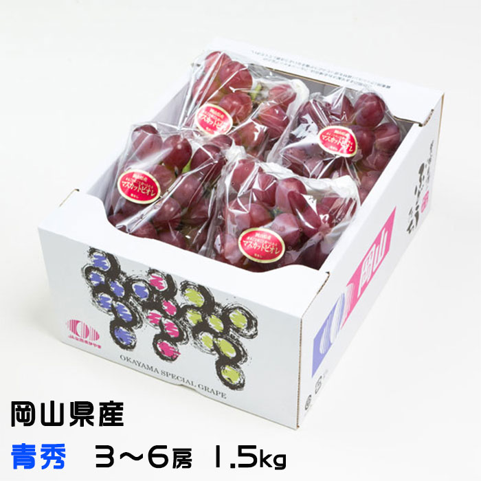 お歳暮 ぶどう マスカットビオレ 青秀 3～6房 1.5kg 岡山県産 葡萄 ぶどう ギフト お取り寄せ