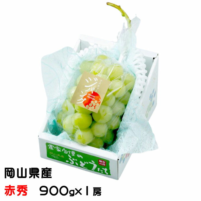 ぶどう マスカットジパング 赤秀 900g×1房 岡山県産 JAおかやま ぶどう 葡萄 ブドウ ギフト お取り寄せのサムネイル