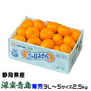 みかん 三ヶ日みかん 濃蜜青島 青秀 3L〜Sサイズ 2.5kg 静岡県産 JAみっかび ミカン 蜜柑 ギフト(4)