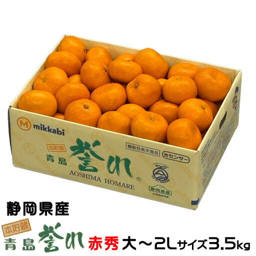 みかん 三ヶ日みかん 本貯蔵青島誉れ 赤秀 大〜2Lサイズ 3.5kg 静岡県産 JAみっかび ミカン 蜜柑 ギフト みかん 三ヶ日みかん 本貯蔵青島誉れ 赤秀 大〜2Lサイズ 3.5kg 静岡県産 JAみっかび ミカン 蜜柑 ギフト