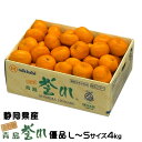 みかん 三ヶ日みかん 本貯蔵青島誉れ 優品 L〜Sサイズ 4kg 静岡県産 JAみっかび ミカン 蜜柑 ギフト(4)
