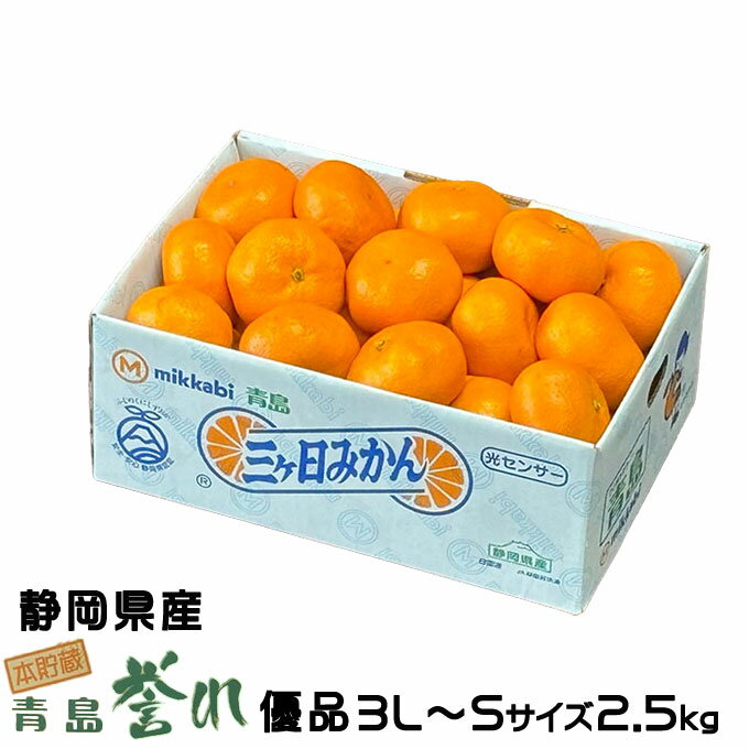 みかん 三ヶ日みかん 本貯蔵青島誉れ 優品 3L〜Sサイズ 2.5kg 静岡県産 JAみっかび ミカン 蜜柑 ギフト