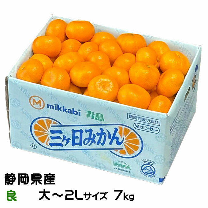 みかん 三ヶ日みかん 良 大〜2Lサイズ 7kg 静岡県産 JAみっかび ミカン 蜜柑 ギフト