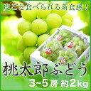 【送料無料】 岡山県産 『桃太郎ぶどう』 【赤秀】 大粒 ...