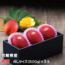 〇マンゴー みやざき完熟マンゴー 赤秀 4Lサイズ 500g以上×3玉 宮崎県産 JA宮崎経済連 ギフト お取り寄せグルメ