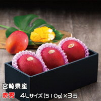 マンゴー みやざき完熟マンゴー 赤秀 4Lサイズ 510g以上×3玉 宮崎県産 JA宮崎経済...