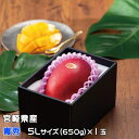 〇マンゴー みやざき完熟マンゴー 青秀 5Lサイズ 650g以上 1玉 宮崎県産 JA宮崎経済連 ギフト お取り寄せグルメ(4)
