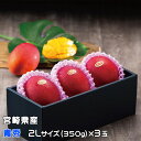 ■□マンゴー みやざき完熟マンゴー 青秀 2Lサイズ 350g以上×3玉 宮崎県産 JA宮崎経済連 ギフト お取り寄せグルメ