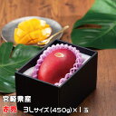 マンゴー みやざき完熟マンゴー 赤秀 3Lサイズ 450g以上×1玉 宮崎県産 JA宮崎経済連 ギフト お取り寄せグルメ 〇 父の日