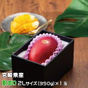 マンゴー みやざき完熟マンゴー 風のいたずら 訳あり 2Lサイズ×1玉 宮崎県産 ギフト お取り寄せグルメ 〇 父の日