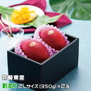 マンゴー みやざき完熟マンゴー 風のいたずら 訳あり 2Lサイズ×2玉 宮崎県産 ギフト お取り寄せグルメ