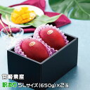 〇マンゴー みやざき完熟マンゴー 風のいたずら 訳あり 5Lサイズ×2玉 宮崎県産 ギフト お取り寄せグルメ